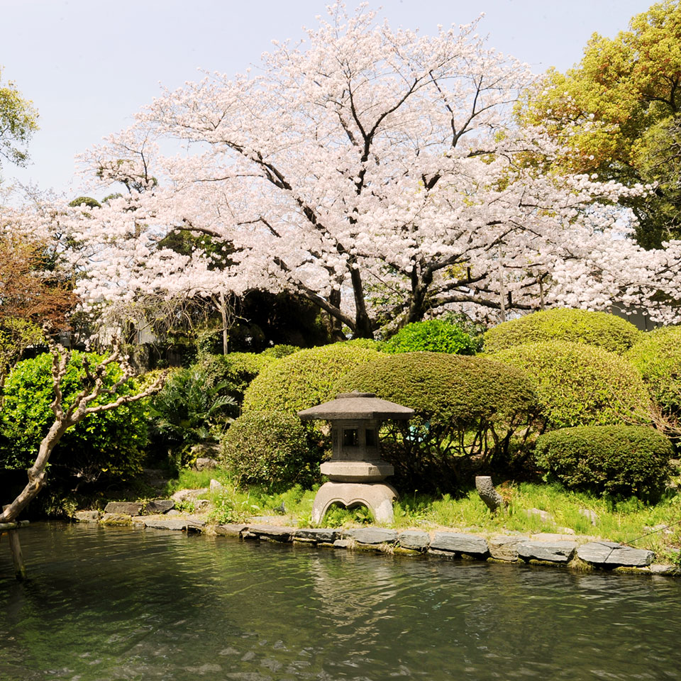 日本庭園