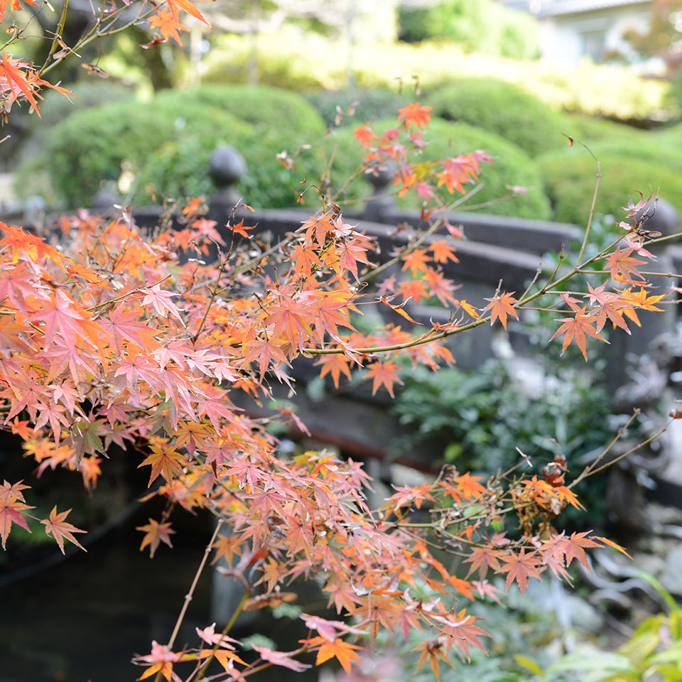 日本庭園
